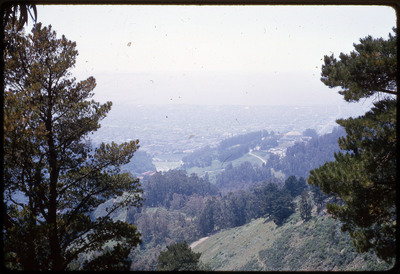 A photographic slide of a scenic overlook of a forest.
