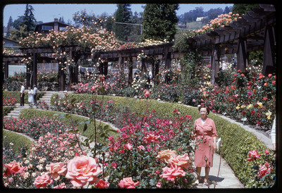 A photographic slide of Evelyn Crabtree standing in a pavilion adorned with flowers and greenery.