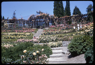 A photographic slide of a pavilion adorned with a variety of beautiful flowers next to a tennis court.