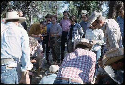 A photographic slide of a group of people watching a bear being skinned with obsidian tools.