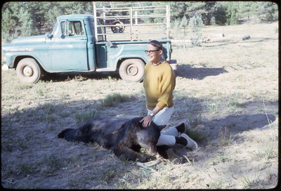 A photographic slide of a person sitting behind a dead bear.