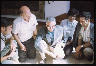 A photographic slide of five people gathered over an artifact that is obscured by bright sunlight.