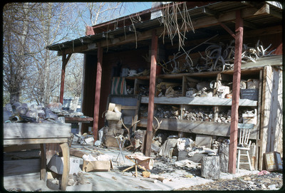 A photographic slide of a porch with shelves holding a variety of wood, rock, and antler, which also cover the ground.