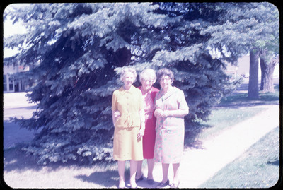 A photographic slide of three women hugging in front of a pine tree.