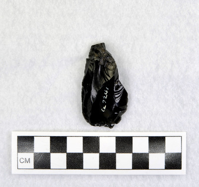 Ce.7241