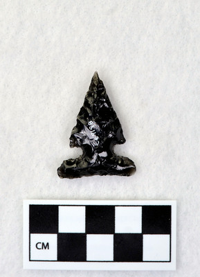 Ce.9198