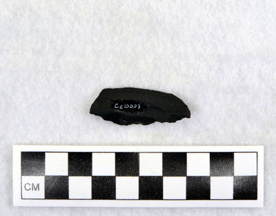 Ce.10003
