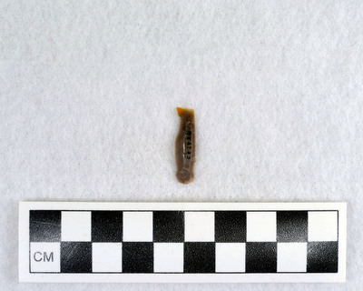 Ce.3924