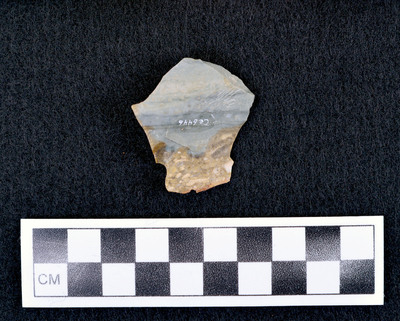 Ce.6446