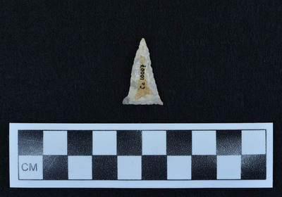 Ce.10007
