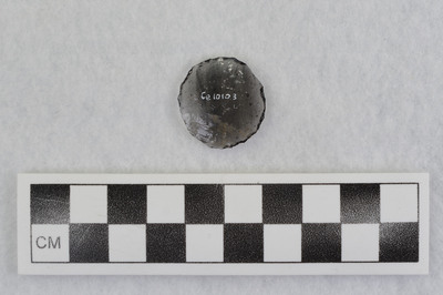 Ce.10103