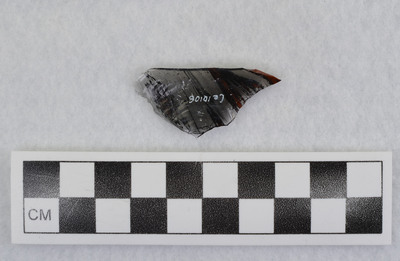 Ce.10106