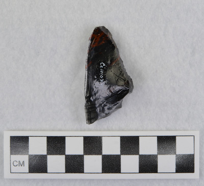 Ce.10107
