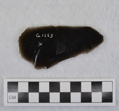 Ce.1223