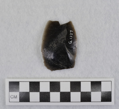 Ce.1229