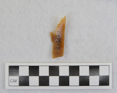 Ce.2587