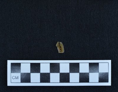Ce.2590