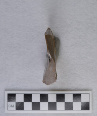 Ce.3921