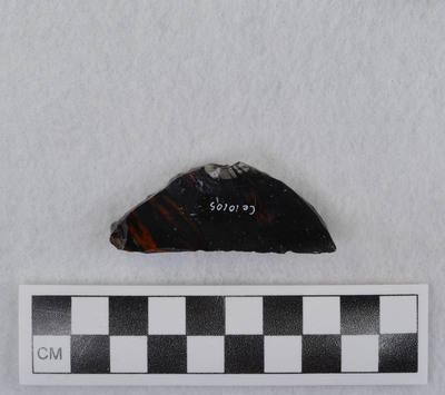 Ce.10105