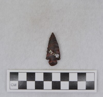 Ce.1565