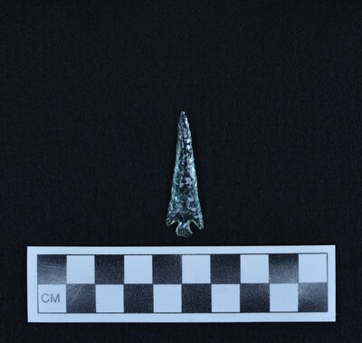 Ce.2439
