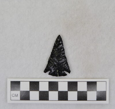 Ce.2744