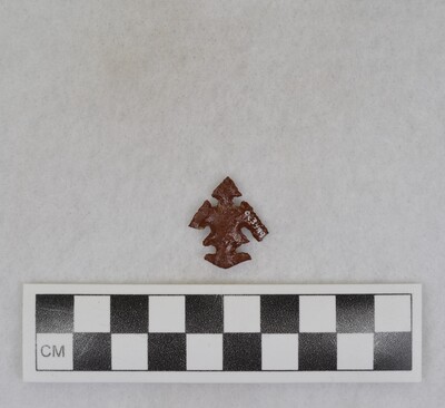 Ce.3499
