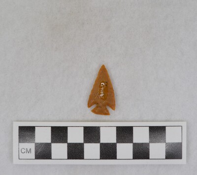 Ce.4119
