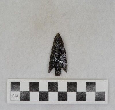 Ce.4198