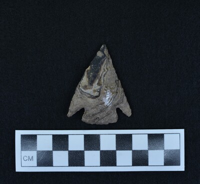 Ce.4257