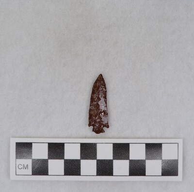 Ce.4263