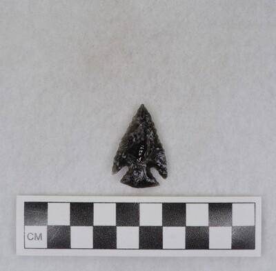 Ce.4291