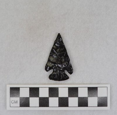 Ce.4342