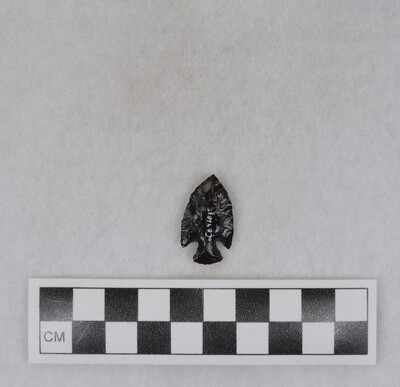 Ce.4683
