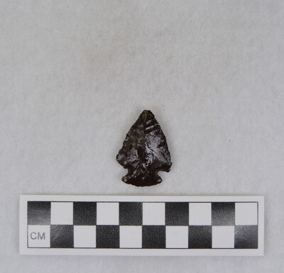 Ce.4698