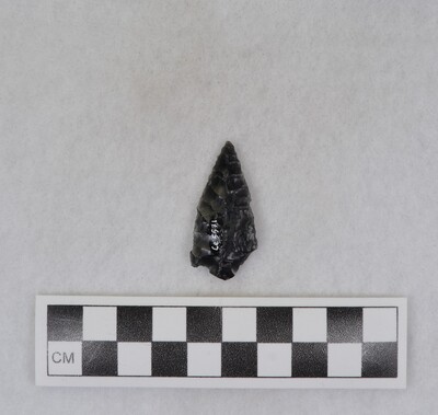 Ce.5571