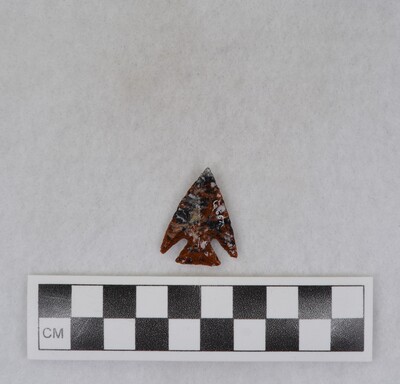 Ce.667