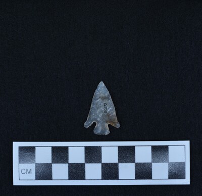 Ce.703