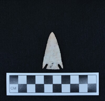 Ce.736