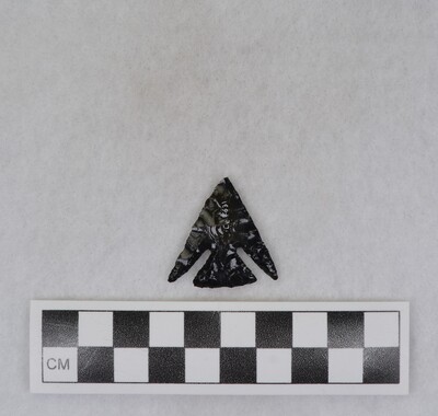 Ce.7631
