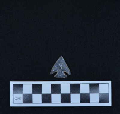 Ce.7646