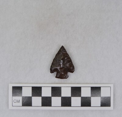 Ce.7681