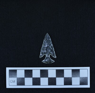 Ce.904