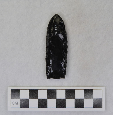 Ce.1003