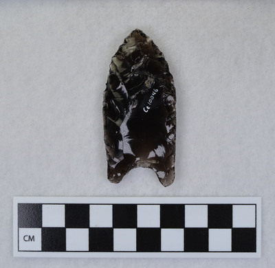 Ce.10046