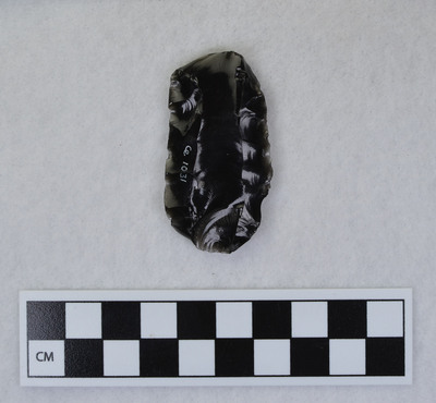 Ce.1031