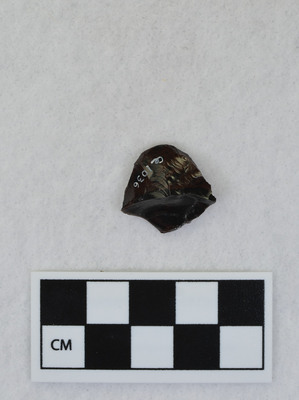 Ce.1036