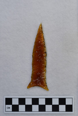 Ce.1141