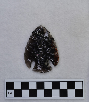 Ce.1239