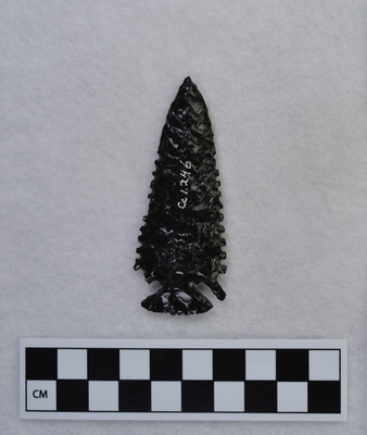 Ce.1246